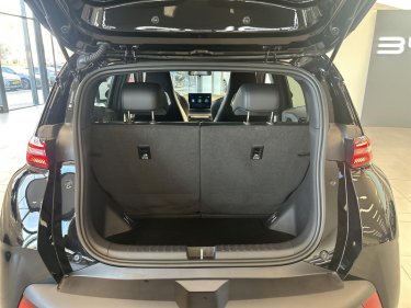 Foto van BYD DOLPHIN SURF