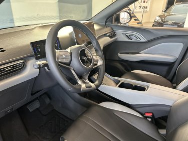 Foto van BYD DOLPHIN SURF